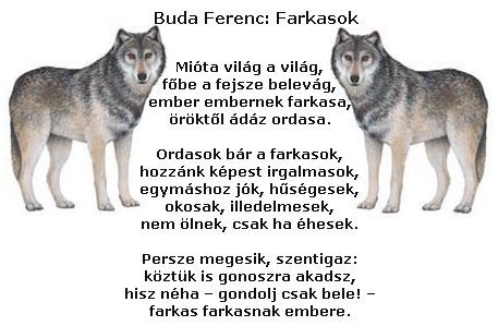 farkasok.jpg