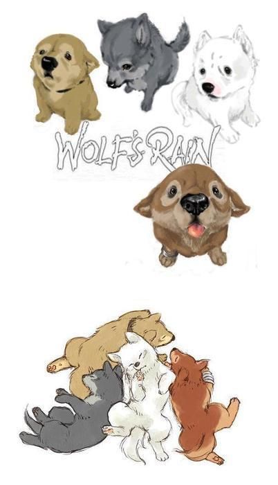 wolf-s-rain-wolfs-rain-9272292-402-700.jpg